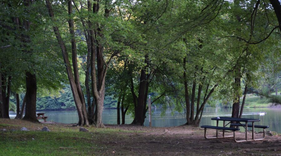 Comment Concevoir un Espace de Jeu Jardin pour les Enfants