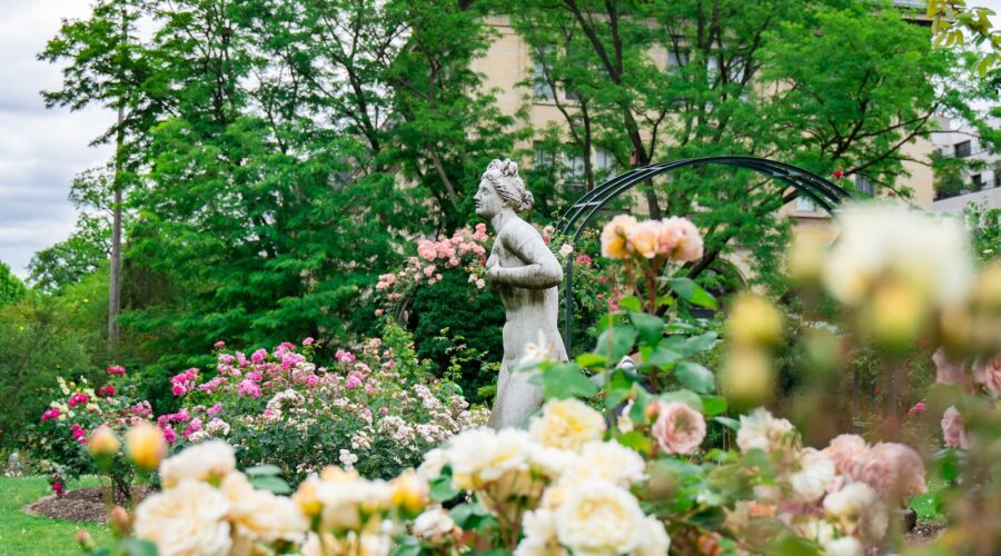 Comment Cultiver un Jardin de Fleurs Sauvages Locales