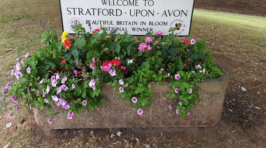 Comment prévenir et traiter les mauvaises herbes dans votre jardin