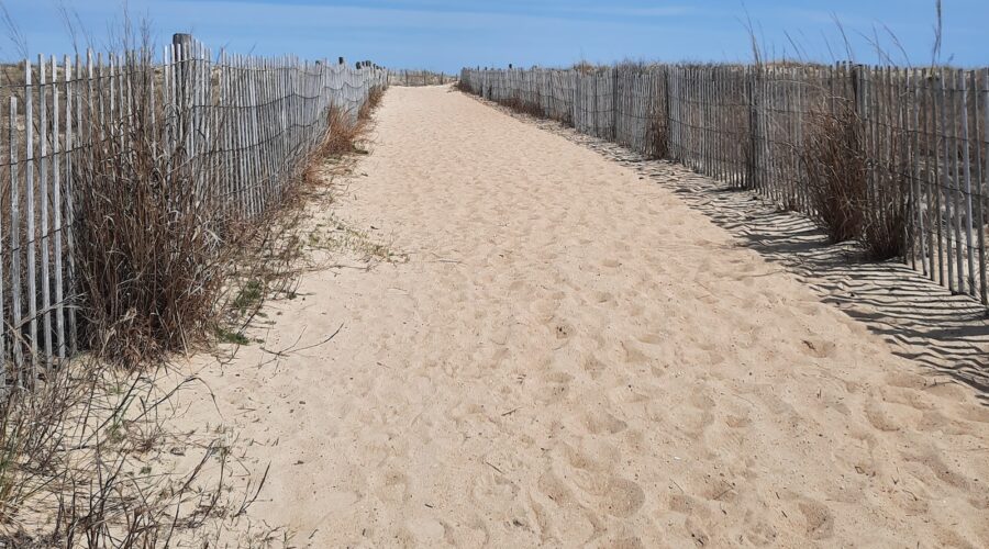 Comment Aménager un Jardin de Fées Enchanteur