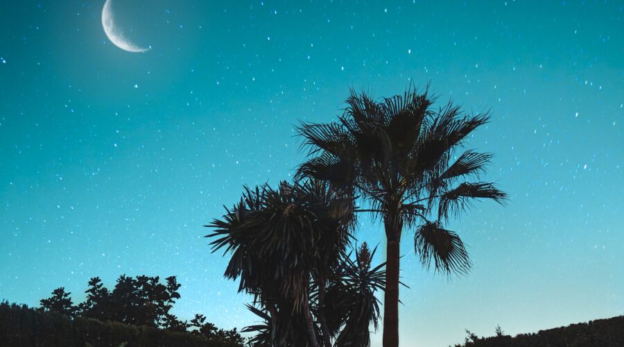 Comment Intégrer l&rsquo;Art dans Votre Espace de Jardin