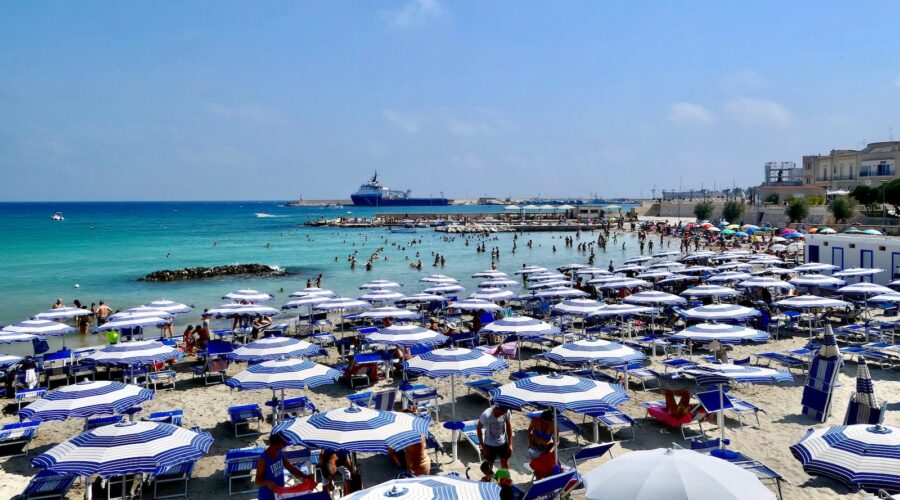 Le jardinage en lasagnes : une méthode simple pour un sol riche