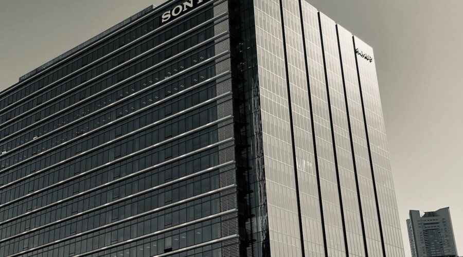 Cultiver des plantes aquatiques dans un jardin d&rsquo;eau : conseils pratiques