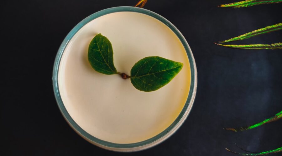 Comment Éliminer les Mauvaises Herbes de Votre Jardin Naturellement