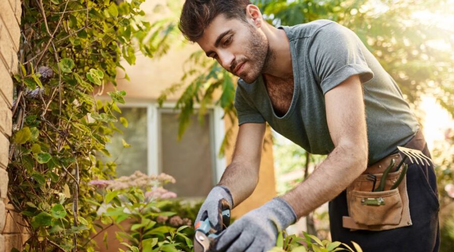 aménager son jardin