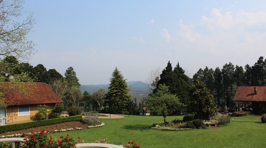 bordure jardin